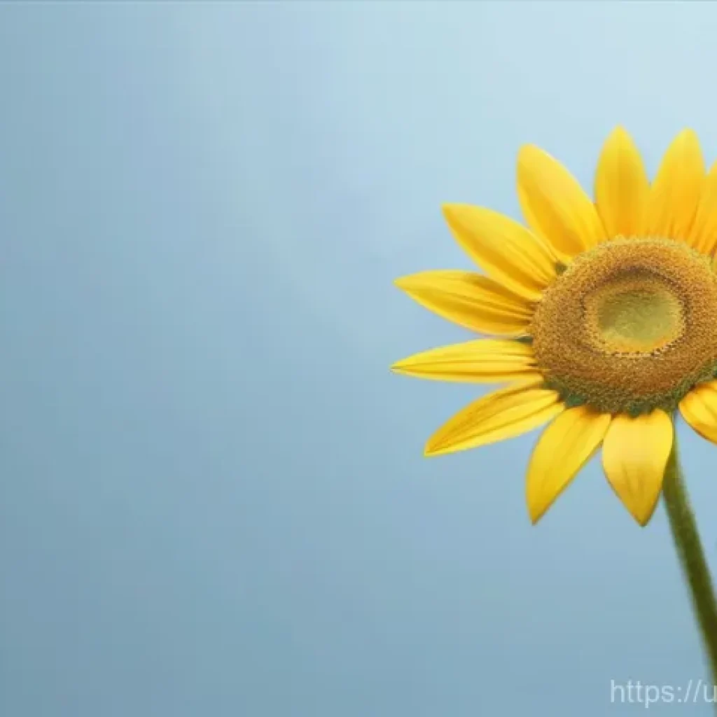 경매사 시험 관련 최신 정보 확인 방법 관련 이미지 1