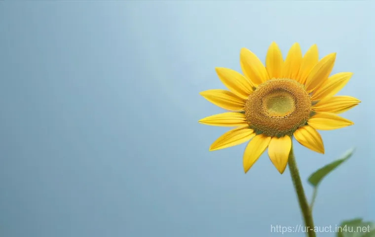 경매사 시험 관련 최신 정보 확인 방법 관련 이미지 1